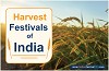 Harvest Festivals of India | Festival of India
