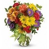 Flower Delivery Brampton