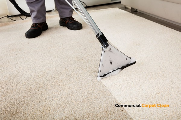 Licensed Commercial Carpet Cleaning Experts 