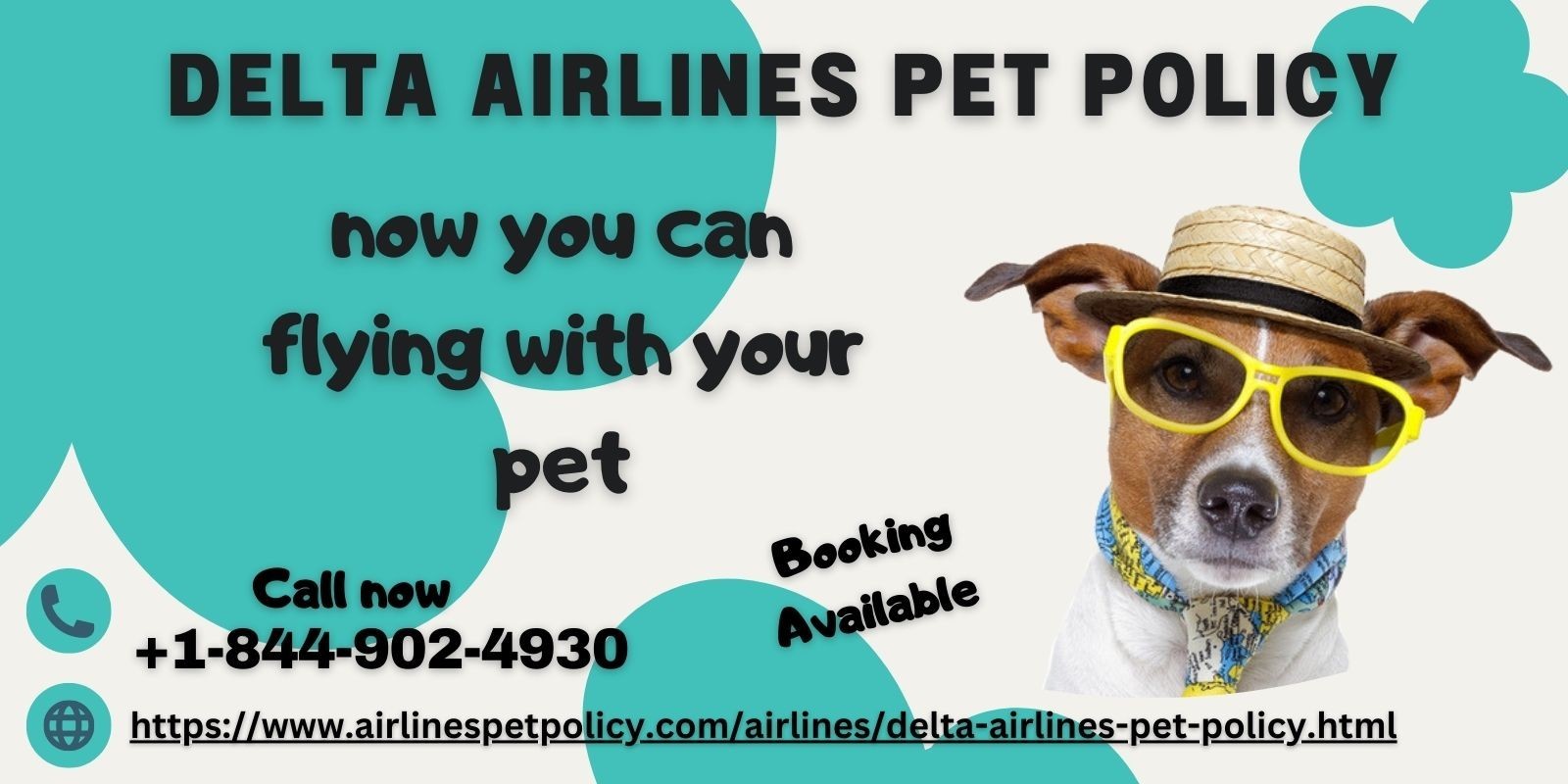 Delta Airlines Pet Policy