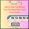 Whisk Away to Wonder: Same Day Taj Mahal Tour by Superfast Train from Delhi
