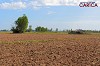 Mantri KNS Carica