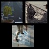 Asphalt Repair