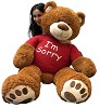 Buy Sorry Soft Toys Online From MyFlowerTree