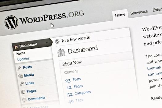 WordPress Website Development in United States
