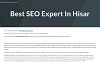 Best SEO Expert In Hisar