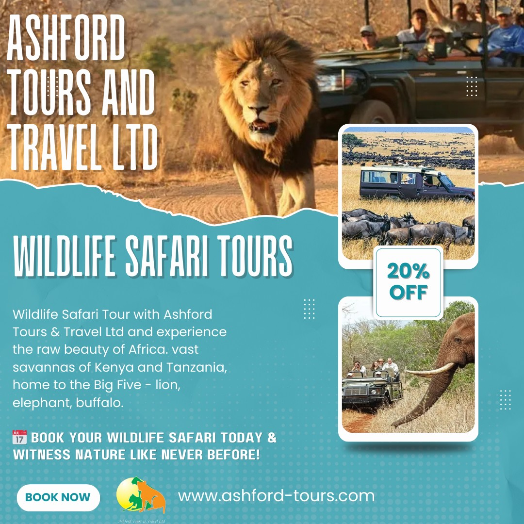 Unforgettable Wildlife Safari Tours with Ashford Tours