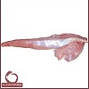 Meat Exporters from india