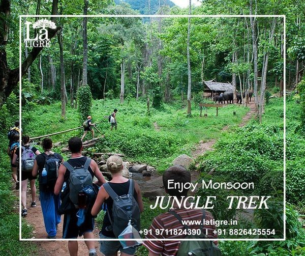 Lets Explore Nature to the Fullest With Best Price Jungle Trek, 