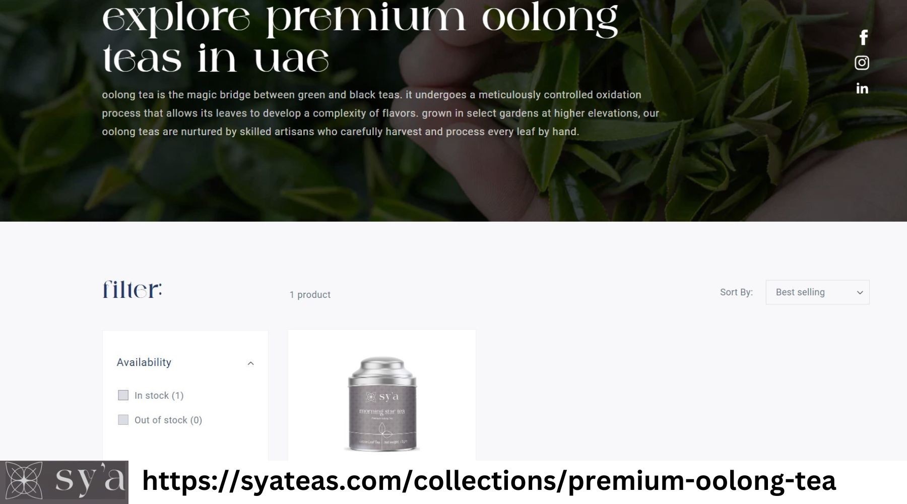 Explore premium oolong teas in uae
