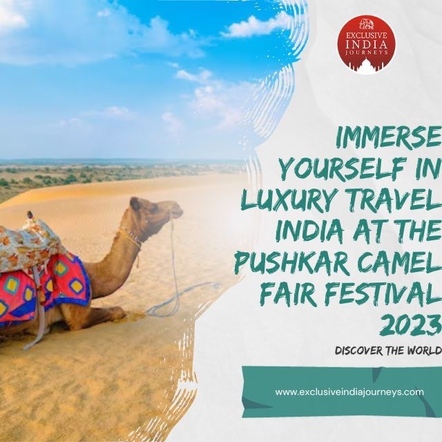 Immerse Yourself in Luxury Travel India at the Pushkar Camel Fair Festival 2023