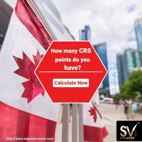 How many CRS points do you have?