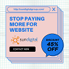 Stop Paying More for Website