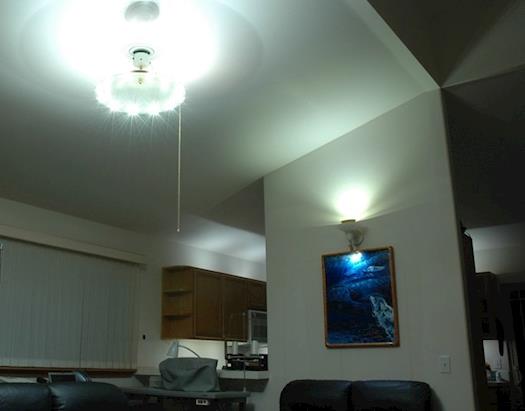 Attracting Led Lighting 