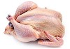 Reputable Supplier of Frozen Chicken and Parts
