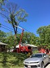 Tree Removal Maryland | Tree Service | Tree Trimming