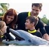 Orlando Swim with Dolphin Tickets and Tours