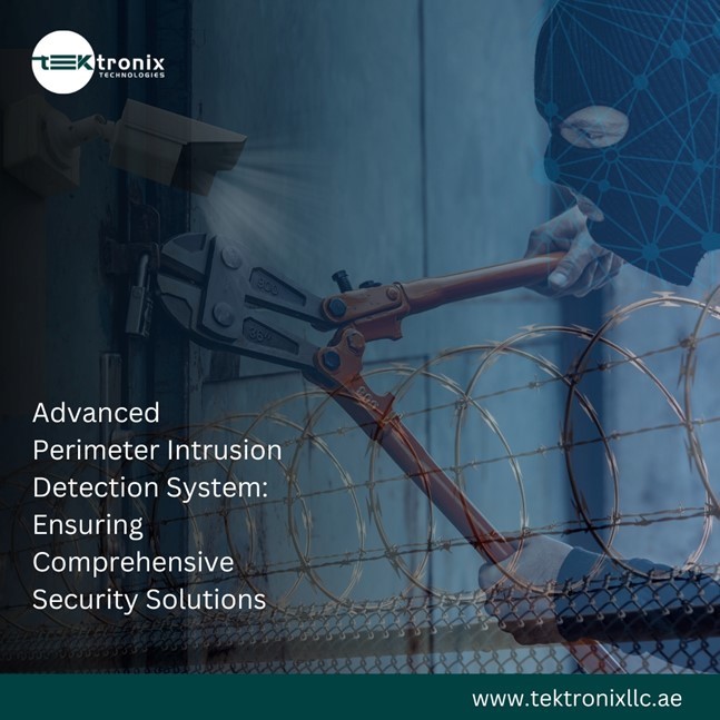 Preventing Theft: Intrusion Detection for UAE Businesses