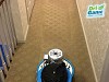 DriGanic Carpet Cleaning