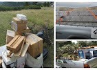 junk removal
