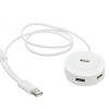 Hi-Speed USB 2.0 Hub with USB OTG Built In, 4 Por
