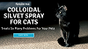 Colloidal Silvet Spray For Cats