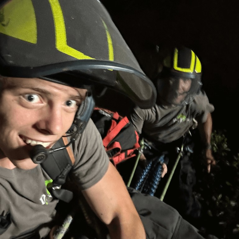 Tree Service Northwest Florida
