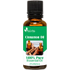 How to Use Cinnamon Oil Weight Loss and Health