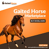 Gaited Horse  Classifieds 
