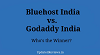 Bluehost India vs GoDaddy India