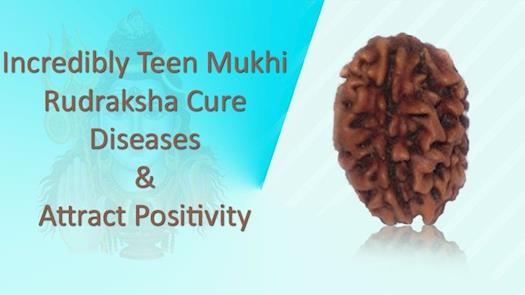 Natural 3 Mukhi Rudraksha Removes Your Stress, Anxiety and Depression