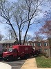 Tree Removal Catonsville, Maryland