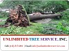 Tree Service Clarksville - Professional, Expert, Tree Removal Company 