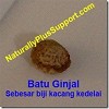 obat herbal batu ginjal