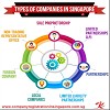 Types of Companies in Singapore