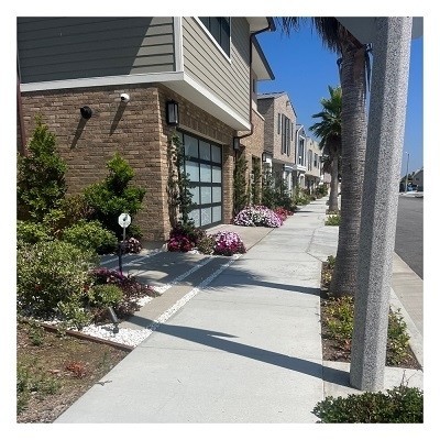Top Notch Co | Outdoor Landscape Lighting & Irrigation Supply US