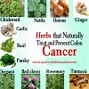Herbs That Naturally Treat and Prevent Colon Cancer