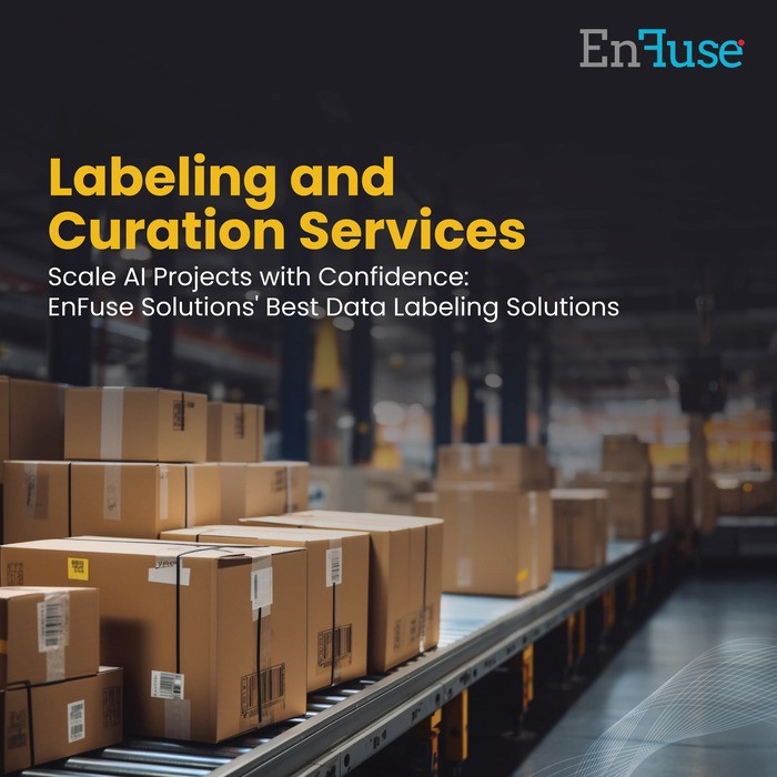 Scale AI Projects with EnFuse’s Best Data Labeling Solutions