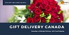 Online gift delivery toronto canada
