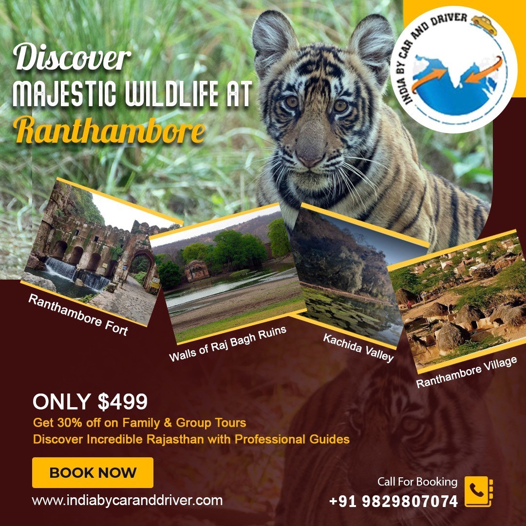 Discover 7 Top Ranthambore Sights with Best Tour Agency in India!
