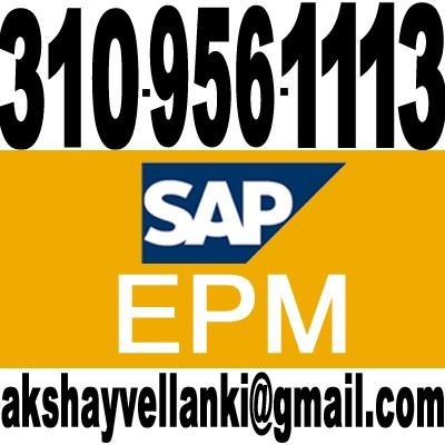 SAP BPC