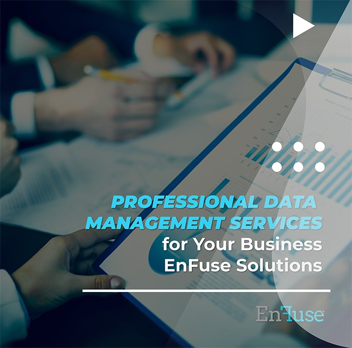 Professional Data Management Services for Your Business