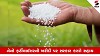 Agriculture Latest News Government will provide assistance on purchase of nano fertilizer