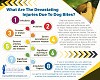 What Are The Devastating Injuries Due To Dog Bites?