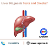 Liver diagnosis tests and checks
