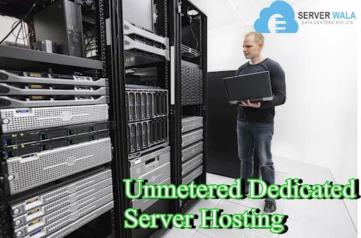 Unmetered Dedicated Server Hosting