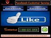 Increase your popularity on FB, to know tactics, dial 1-888-625-3058 Facebook Customer Service
