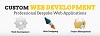  Online Custom Website Development Services
