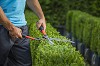 Best Garden Maintenance Services in Didsbury