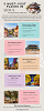 5 Must-Visit Places in Seoul for South Korean Adventure